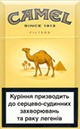 Camel