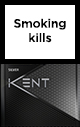 Kent Nano Silver