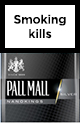 Pall Mall Nanokings Silver